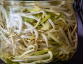 Pousses de soja  en pickles