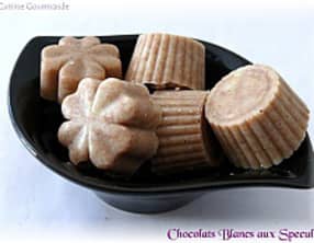 Chocolat Blanc aux Speculoos