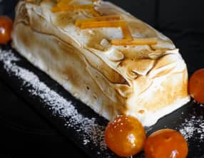 Bûche de noël glacée à la mandarine