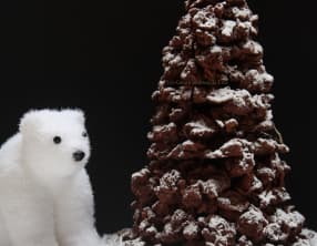 Roses des sables chocolat noisette