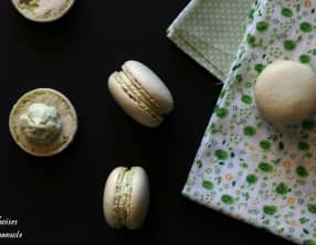 Macarons au thé vert Matcha