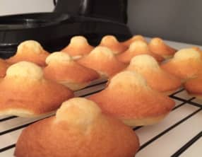 Des belles madeleines