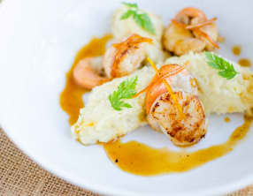 Saint-Jacques et purée de panais vanillée, sauce aux agrumes