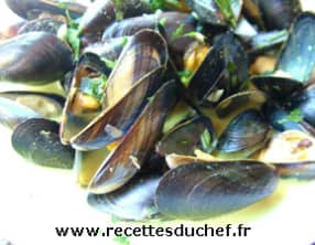 Moules au curry