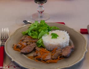 Magret de canard marinade soja gingembre