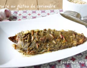 Truites au pistou de coriandre