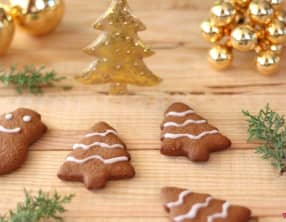 Biscuits pains d'épices et chocolat
