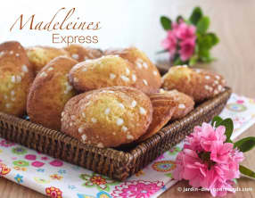 Madeleines Express