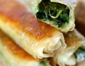 Cigares à la brandade de Nîmes et la roquette