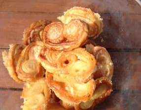 Les petits palmiers de Louis