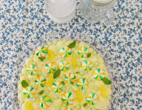 Fantastik citron menthe