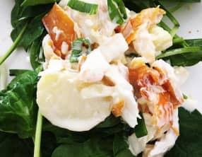 Filets de haddock sur lit de pousses d’épinards