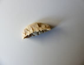 Guōtiē au tempeh, chou et oignons de printemps