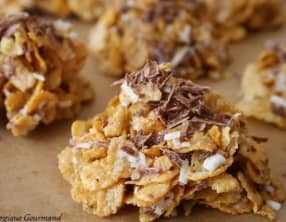 Roses des sables, noix de coco, éclats de chocolat