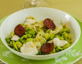 Ravioles aux fèves et petits pois