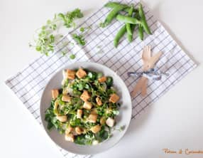 Panzanella de petits pois