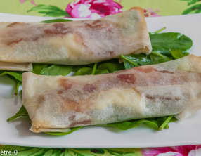 Bricks courgettes chèvre et jambon