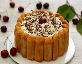 Charlotte au chocolat et cerise façon Forêt Noire