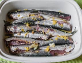 Sardines citron anis