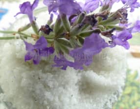 La lavande, du jardin à la cuisine