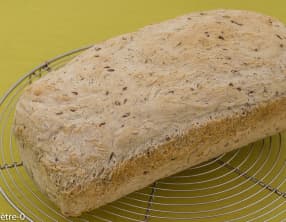 Pain rapide aux graines de lin