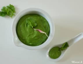 Pesto de fanes de radis