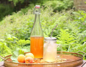 Shrub au shiso et aux abricots