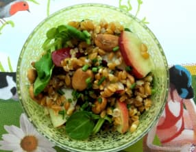 Salade de petit épeautre, nectarine et amande