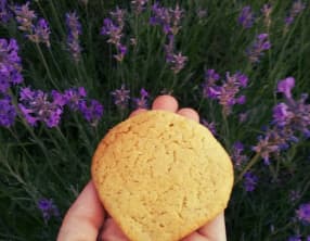 Biscuits citron et lavande