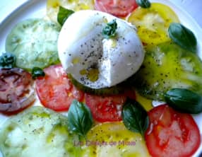 Burrata sur carpaccio de tomates anciennes