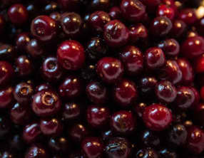 Compote de cerises, à partir de 6 mois