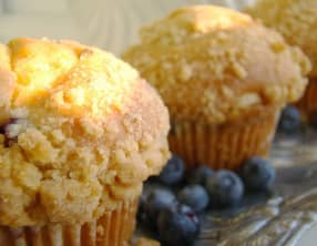 Muffins aux myrtilles et au son d'avoine