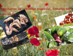 Brochettes aux crevettes, marinées, au concombre et tomates