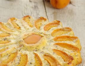 Gâteau aux abricots et au pavot