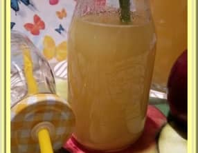 Jus de Pommes au thermomix