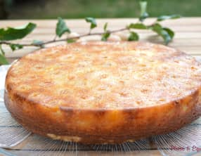 Gâteau renversé aux mirabelles
