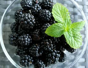 Mousse de mascarpone aux mûres sauvages