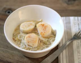 Crème d'endives au Porto et saint-jacques