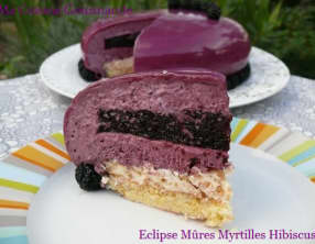 Eclipse Mûre Myrtilles Hibiscus