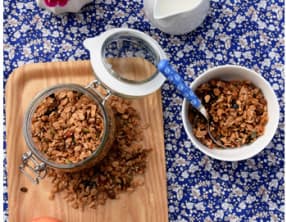 Granola aux fruits