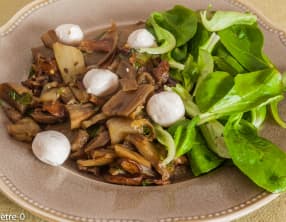 Poêlée d'aubergines aux cèpes et à la mozzarella