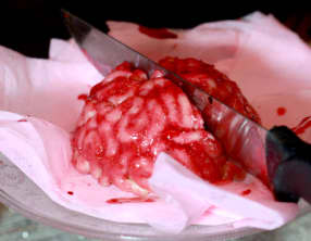 Halloween Brain Cake