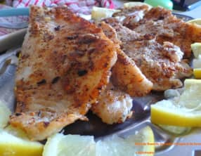 Filets de daurade en croute d'origan, thym et fenouil