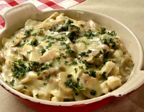 Restes de poulet forestière