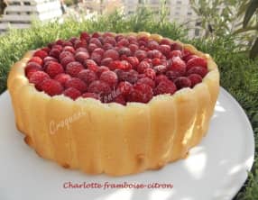 Charlotte framboise-citron
