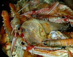 Poulet aux langoustines au Croisic