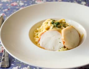 Médaillons de langouste et linguine au sabayon