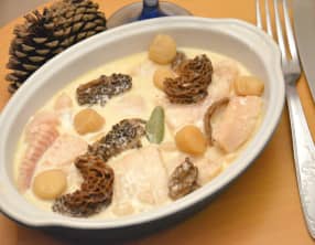 Blanquette de sole et Saint Jacques aux morilles