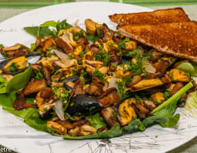 Salade tiède de cèpes aux moules