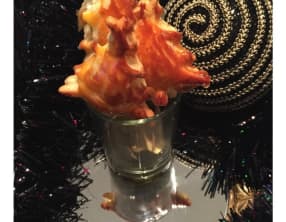 Sapins à la chèvre